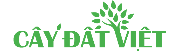 Cây Đất Việt